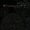 seifseif7365