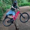 pinkbicol