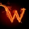 winchestter1