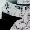 apolo_432