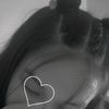 elizabeth.cc01