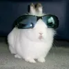 l0vingg.bunn1es