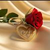 amna58626