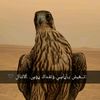 .ahmad9777
