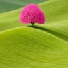 jobayer.ahamed13