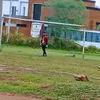 crackdelarco