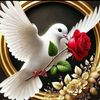 user6263220629261