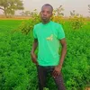 user65625040148862