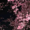 ._cutest02_0