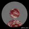 dovveha_0