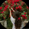 noor.karar12