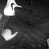 _el_josesito__