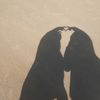 rodaina.mohamed61