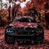htagbestcar