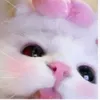user_5122015
