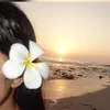 🦋