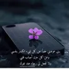 user4325907202681