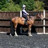 izzy.new.account