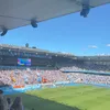 alicebrallist15