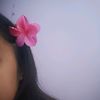ari..pink1