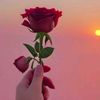 rana.ijaz4752