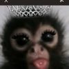 bayolet_mv