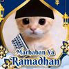 azzam.nanda