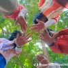 chothazinaung144