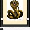 king.cobra926