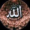 shamuhammet19