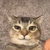 zefuxy