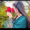 tarar704