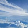 amazing_7373