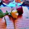 ✨🥀Allah🥀✨