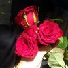 qamarhussain98