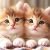 meomayman2k