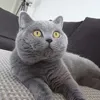 iamdioorr
