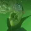 o_vampirino