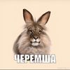 huypalka