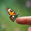 areebarao939