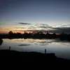 kanske_roy