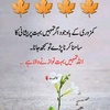 naseem.junejo06