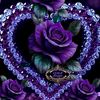binita.magar436