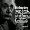 user8512398088710