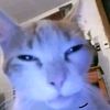 zelehot_