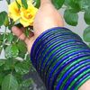 tania.sultana7368