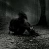 user60650313701480