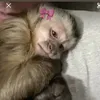 mah_almeidaaa07