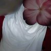 roqiaahmed851