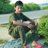 md.lipon.com